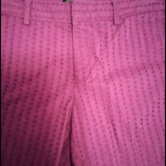 Banana Republic Boho Romantic Magenta Eyelet Dressy Shorts - Picture 2 of 7